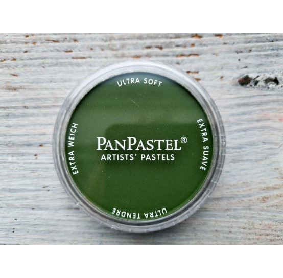 PanPastel soft pastel, Nr. 660.3, Chromium Oxide Green Shade