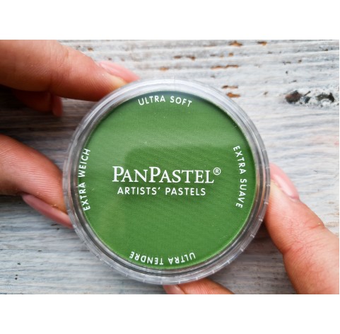 PanPastel soft pastel, Nr. 660.5, Chromium Oxide Green