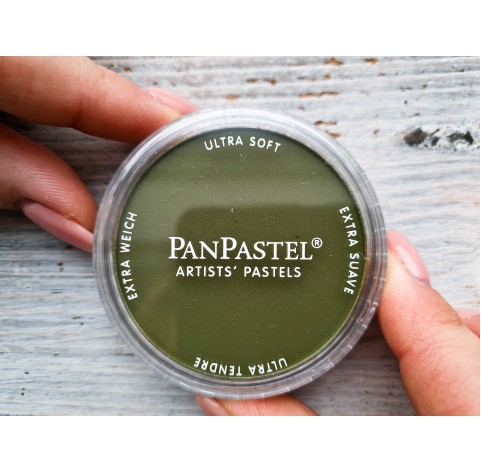 PanPastel soft pastel, Nr. 680.1, Bright Yellow Green Extra Dark