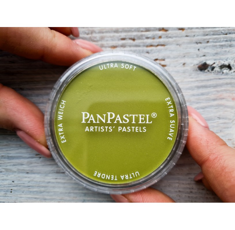 Pan Pastel (Bright Yellow Green 680.5) – ShopSketchBox