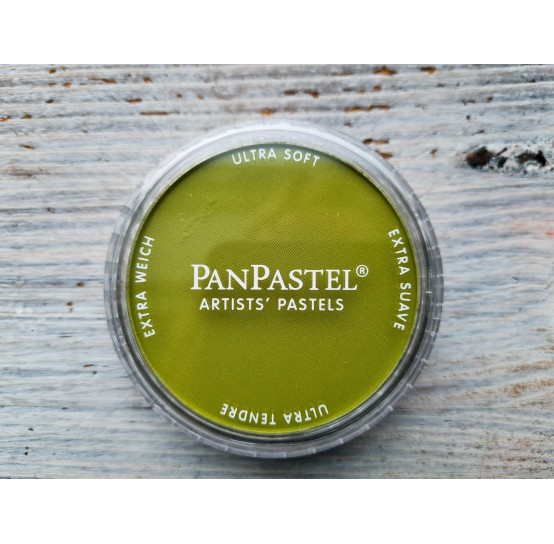 PanPastel soft pastel, Nr. 680.3, Bright Yellow Green Shade