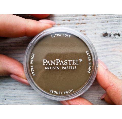 PanPastel soft pastel, Nr. 780.5, Raw Umber