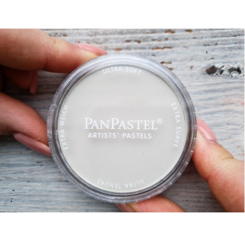 PanPastel soft pastel, Nr. 780.8, Raw Umber Tint