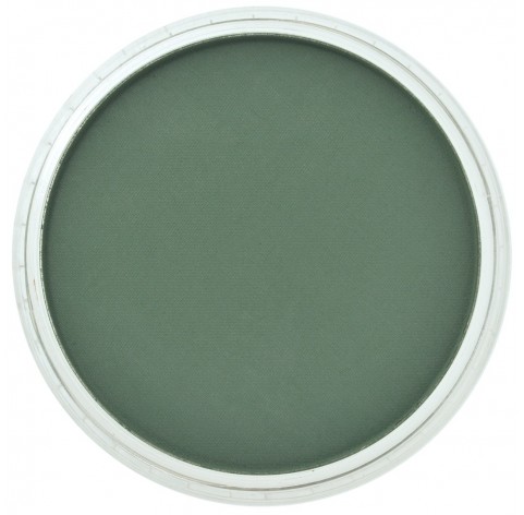PanPastel soft pastel, Nr. 640.1, Permanent Green Extra Dark
