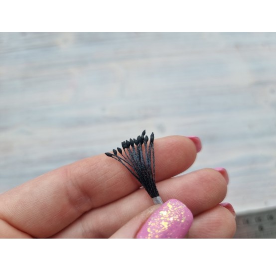 Stamens, black, conical, 2 mm, ~ 15 stamens